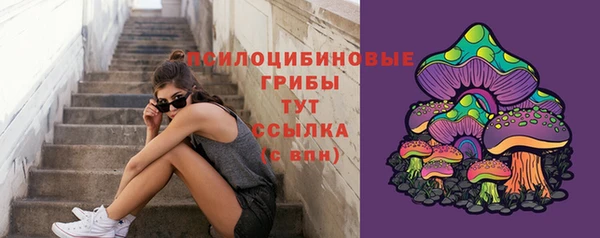 MDMA Premium VHQ Горнозаводск