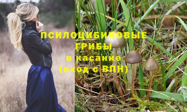 a pvp Горняк