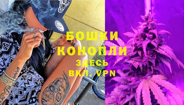 a pvp Горняк