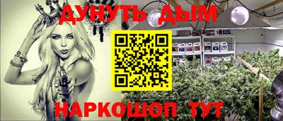 гашик Гай