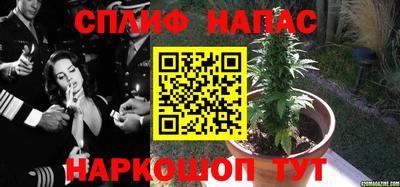 винт Гагарин