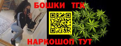 гашик Гай
