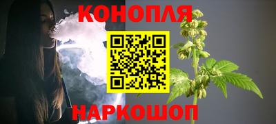 гашик Гай