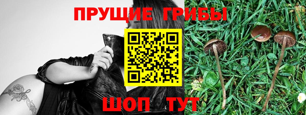 Гулькевичи  Псилоцибиновые грибы мухоморы  Галлюциногенные грибы GOLDEN TEACHER  Вход с VPN 