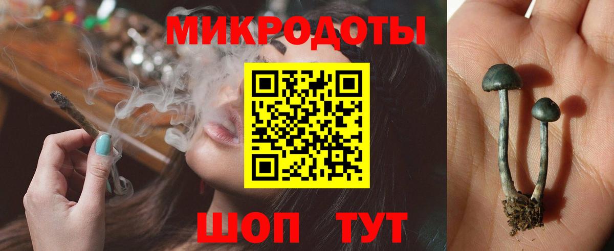 Псилоцибиновые грибы Psilocybine cubensis Гулькевичи