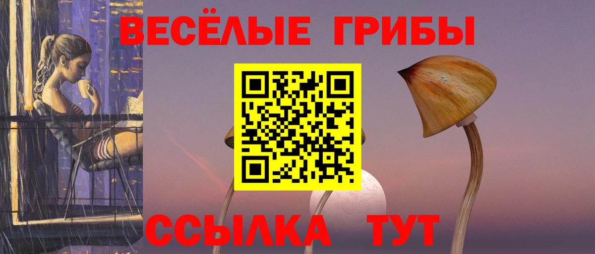 Галлюциногенные грибы GOLDEN TEACHER  Гулькевичи 