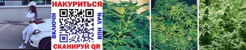 купить наркоту  Гулькевичи  Каннабис THC 21% 